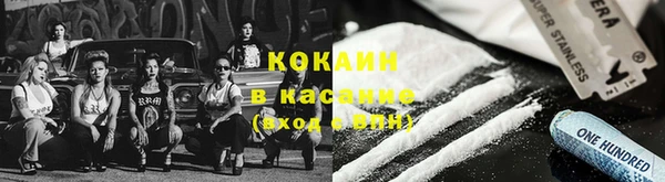 дживик Гусь-Хрустальный