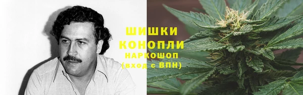 дживик Гусь-Хрустальный