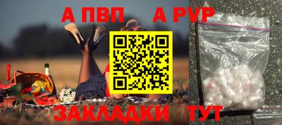 шишки Аргун