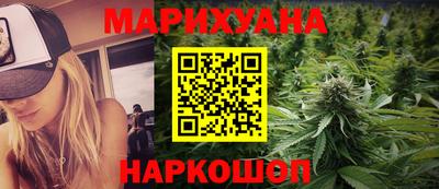 шишки Аргун