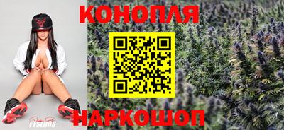 шишки Аргун