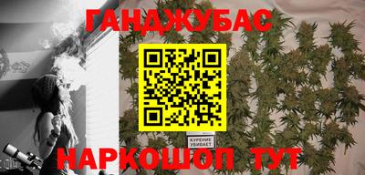 шишки Аргун