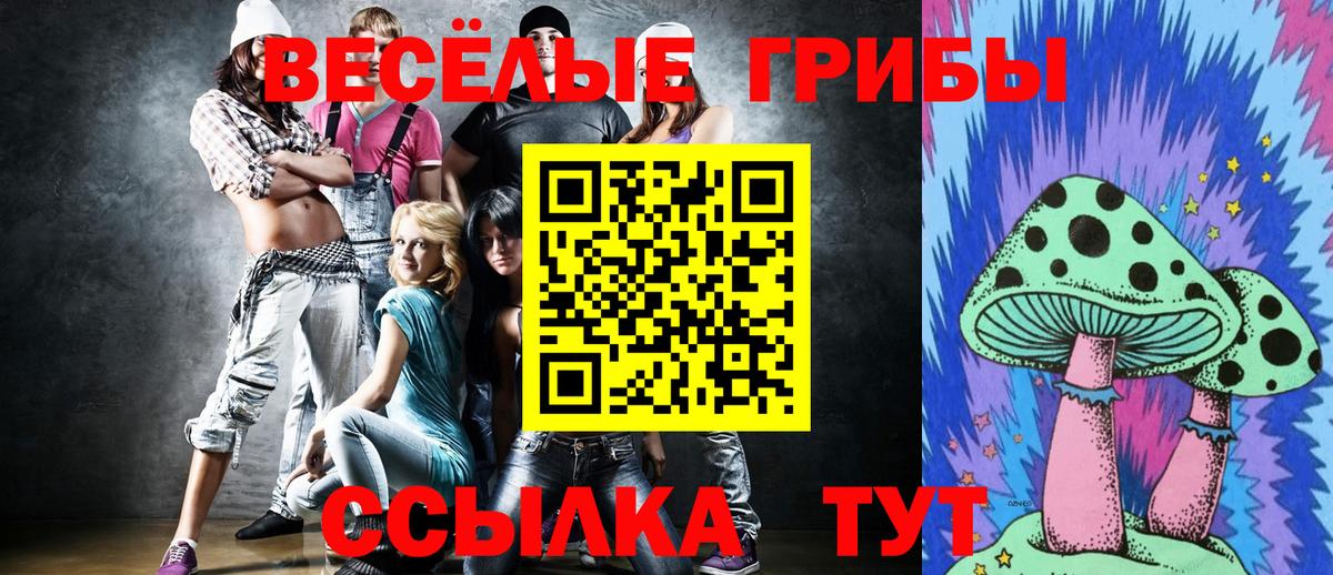 Псилоцибиновые грибы Psilocybe Нерюнгри