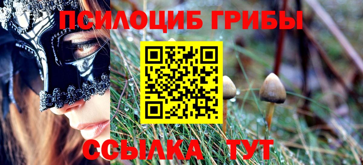 Псилоцибиновые грибы Psilocybe  Нерюнгри  Галлюциногенные грибы Cubensis 