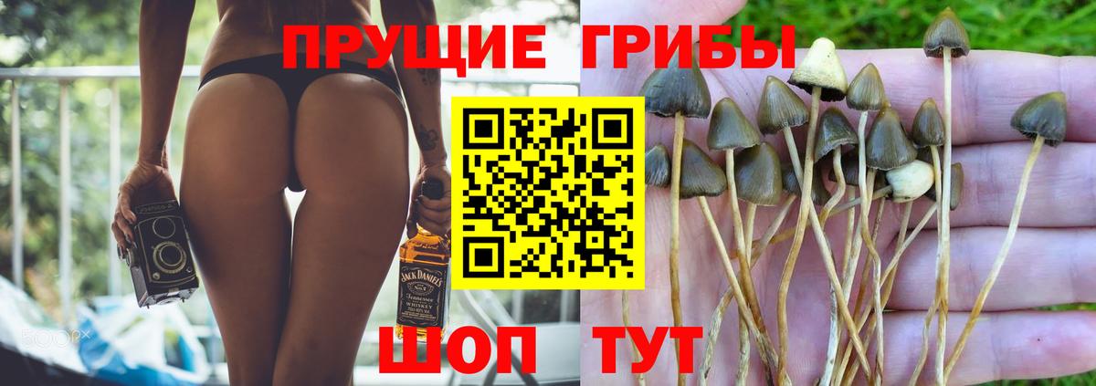 Галлюциногенные грибы Magic Shrooms  Вход с VPN  Нерюнгри 