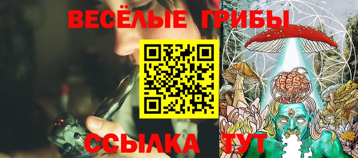 Галлюциногенные грибы GOLDEN TEACHER Нерюнгри